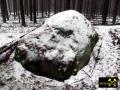 Findling 2 bei Haselberg nahe Wierzen in der Märkischen Schweiz, Brandenburg, (D) (2) 24. Januar 2016.JPG